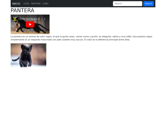 pagina/pagina2 screenshot