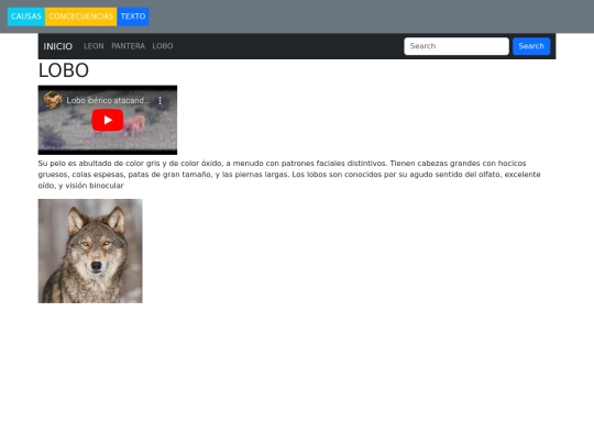 pagina/pagina3 screenshot
