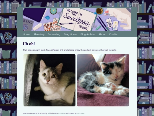 blog/not_found screenshot