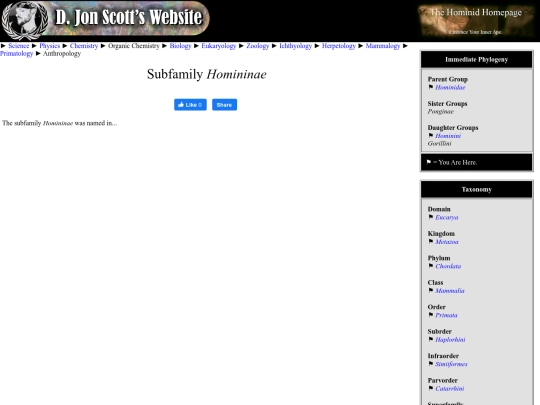 homininae screenshot