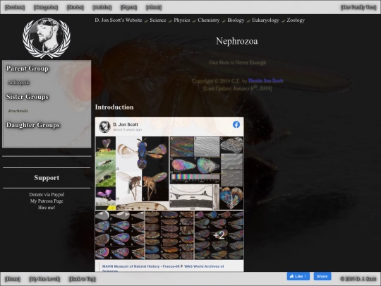 insects screenshot