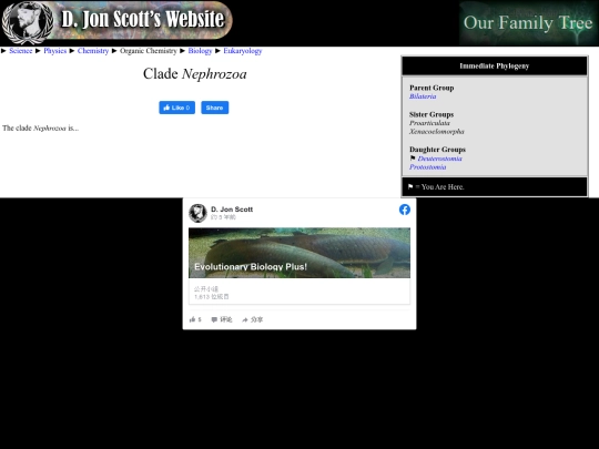 nephrozoa screenshot