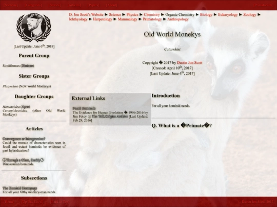 old-world-monkeys screenshot