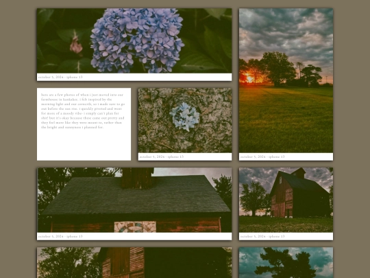 blog/blog1 screenshot
