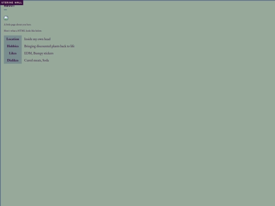 testsites/about screenshot