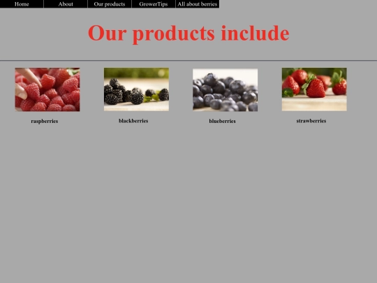 ourProducts screenshot