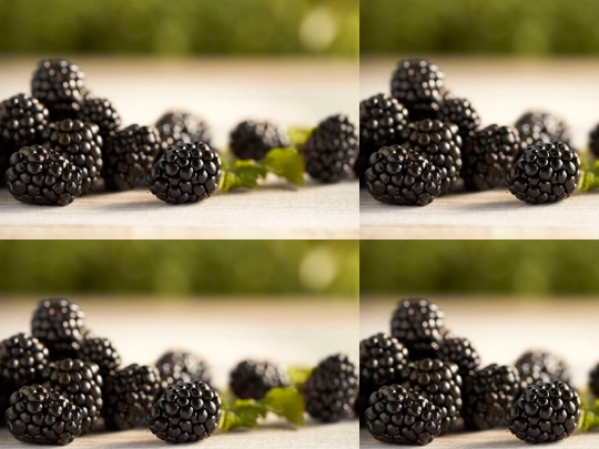test screenshot
