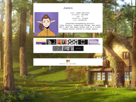 system/james screenshot