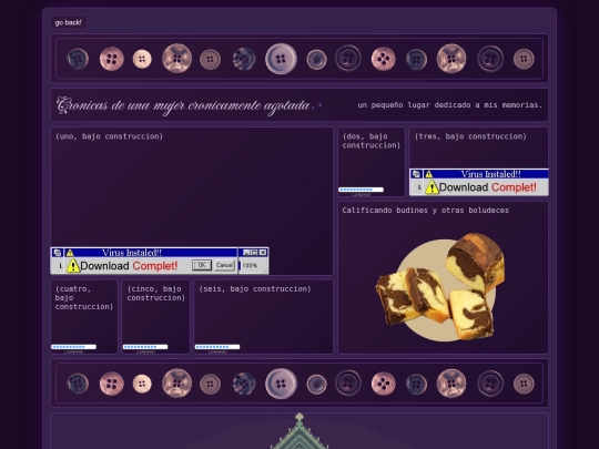 paginas/diarybutton/diary screenshot