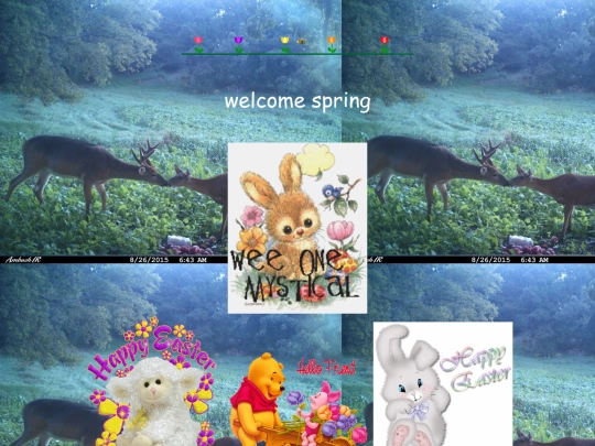seasons screenshot