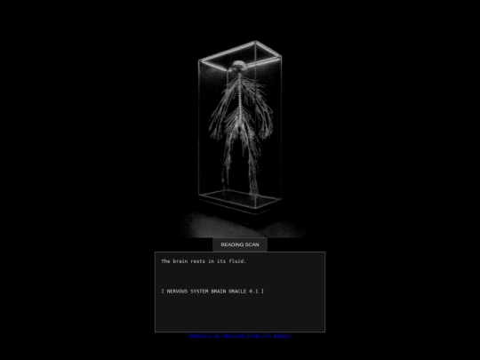 brain_oracle screenshot