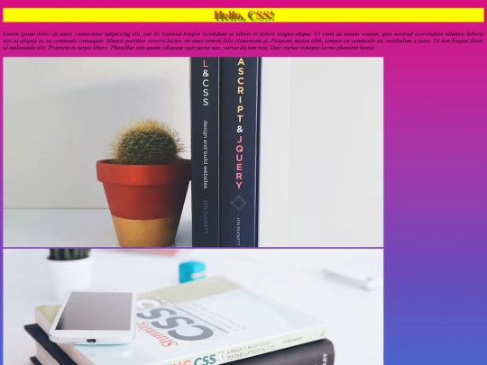 css1 screenshot