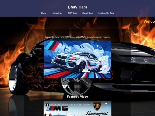 BMW screenshot