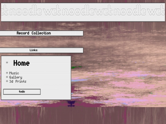 collections/vinyl screenshot