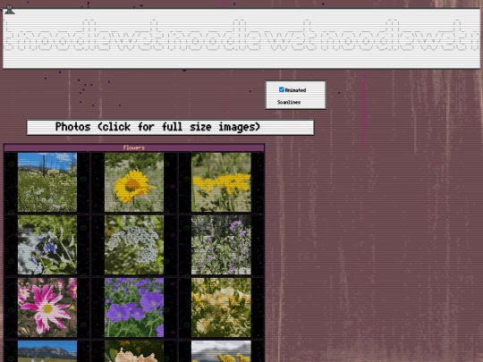 photography screenshot