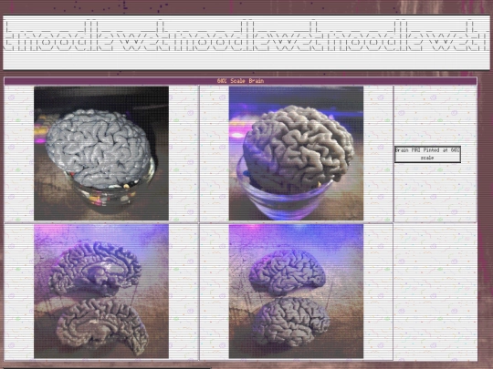 prints/brain2 screenshot