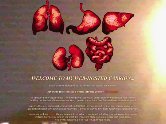 fleshhub screenshot
