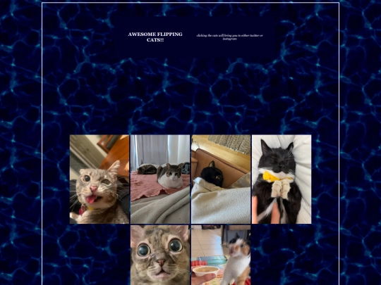 catsilike screenshot
