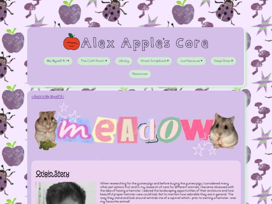 allaboutme/meadow/meadow screenshot