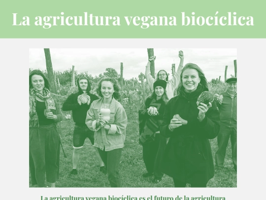 Ejercicio03/acto6 screenshot