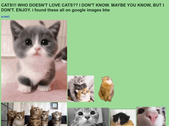 catscatscats screenshot