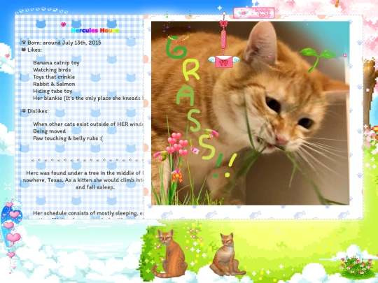 kitties screenshot