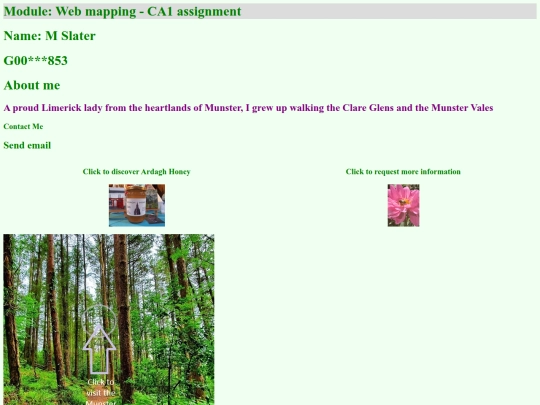 CA1_M.Slater - Honey1 screenshot