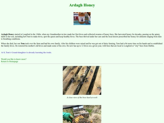 CA1_M.Slater_Honey2 screenshot