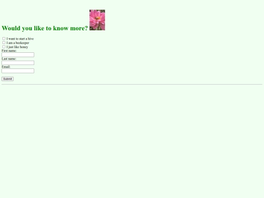 CA1_M.Slater_Honey3 screenshot