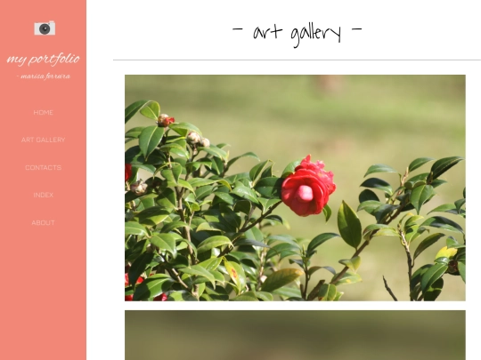 artgallery screenshot