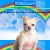 chihuahuachurch.neocities.org avatar