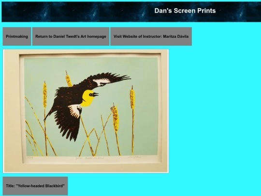 Twedt_Prints_screenprints screenshot
