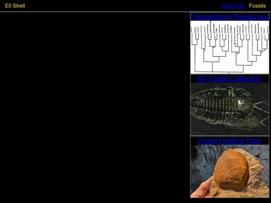 directory screenshot