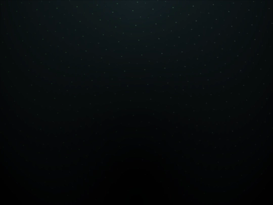 FLORES screenshot