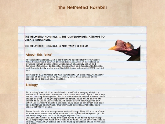 hornbill screenshot