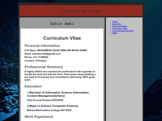 curriculumvitae screenshot