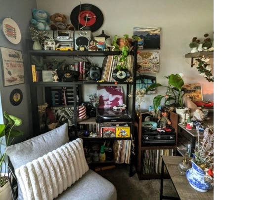 shelf screenshot