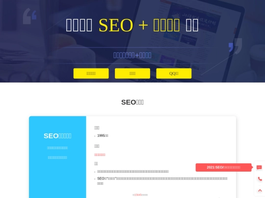 seo screenshot