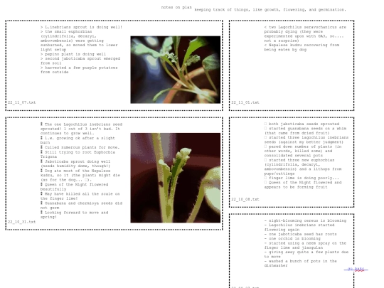 plant_notebook screenshot