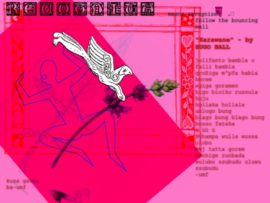 recognita screenshot