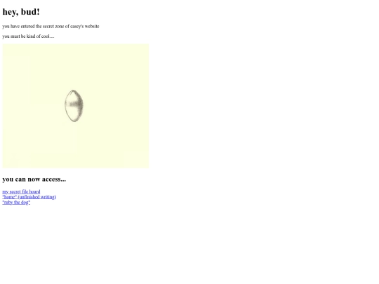secret_zone screenshot
