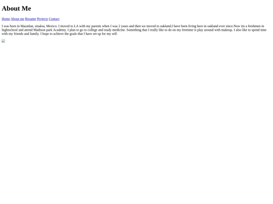 Portfolio/about screenshot
