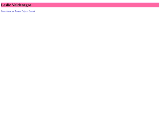 Portfolio screenshot