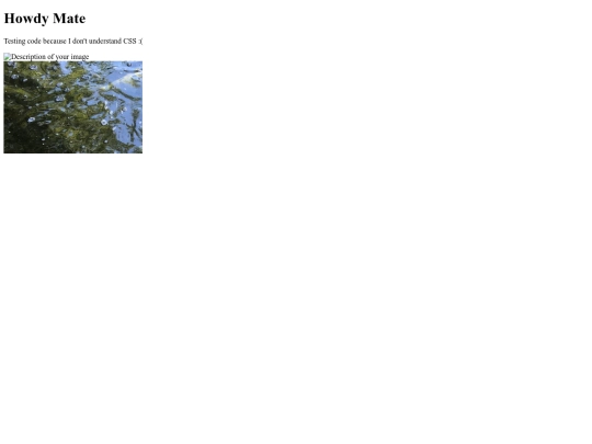 test/test screenshot