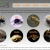 Crawlers avatar