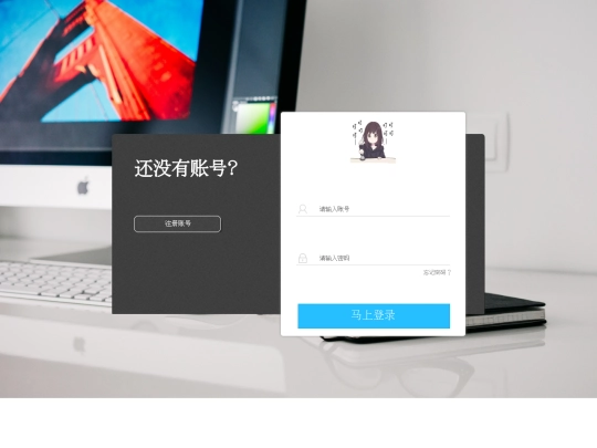 demo2/Login/login screenshot