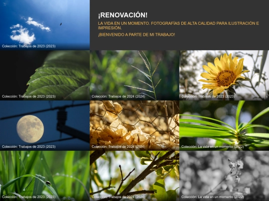 fotogalery3/inicio screenshot