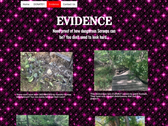 Evidence screenshot