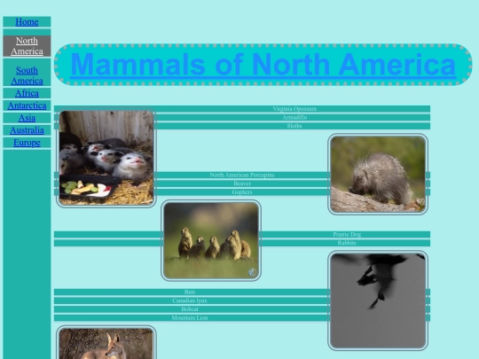 NAmerica screenshot
