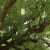 parfaiteer.neocities.org avatar